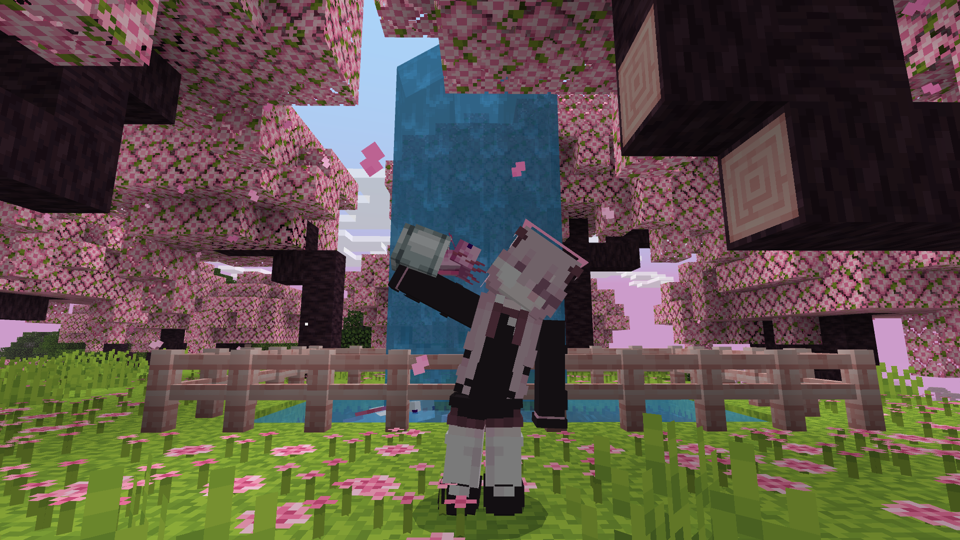 My Minecraft Skin